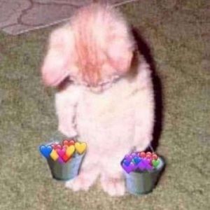 Meet your Posher, 𝘴𝘢𝘮𝘢𝘳𝘢